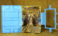 Blue Box